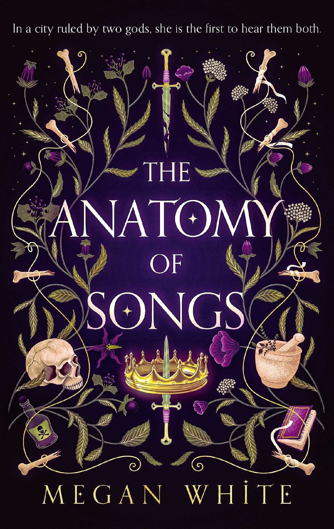 The Anatomy Of Songs