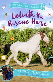 Thumbnail for Goliath The Rescue Horse