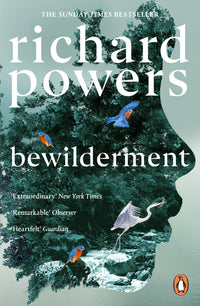 Thumbnail for Bewilderment