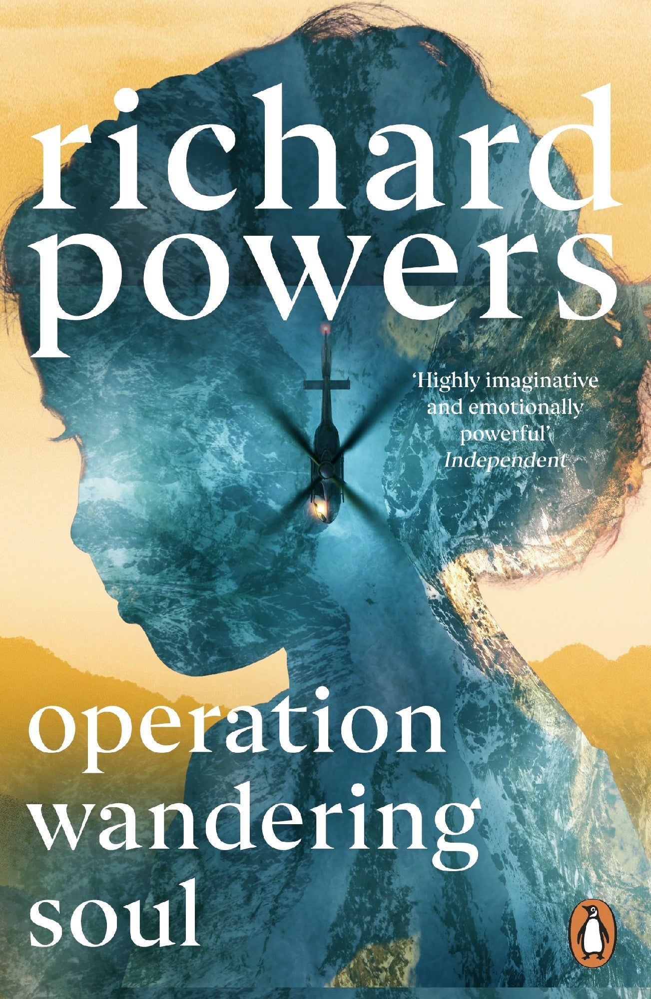 Operation Wandering Soul