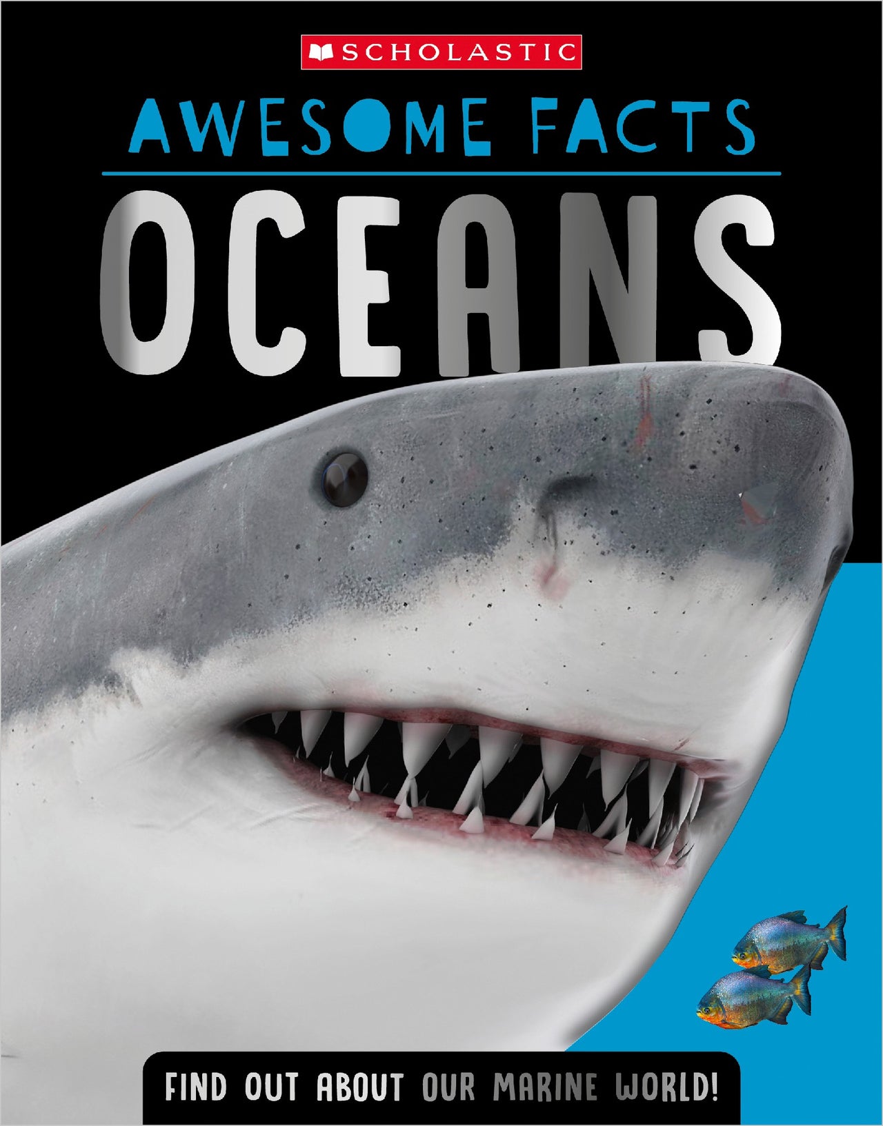 Oceans: Awesome Facts (miles Kelly)