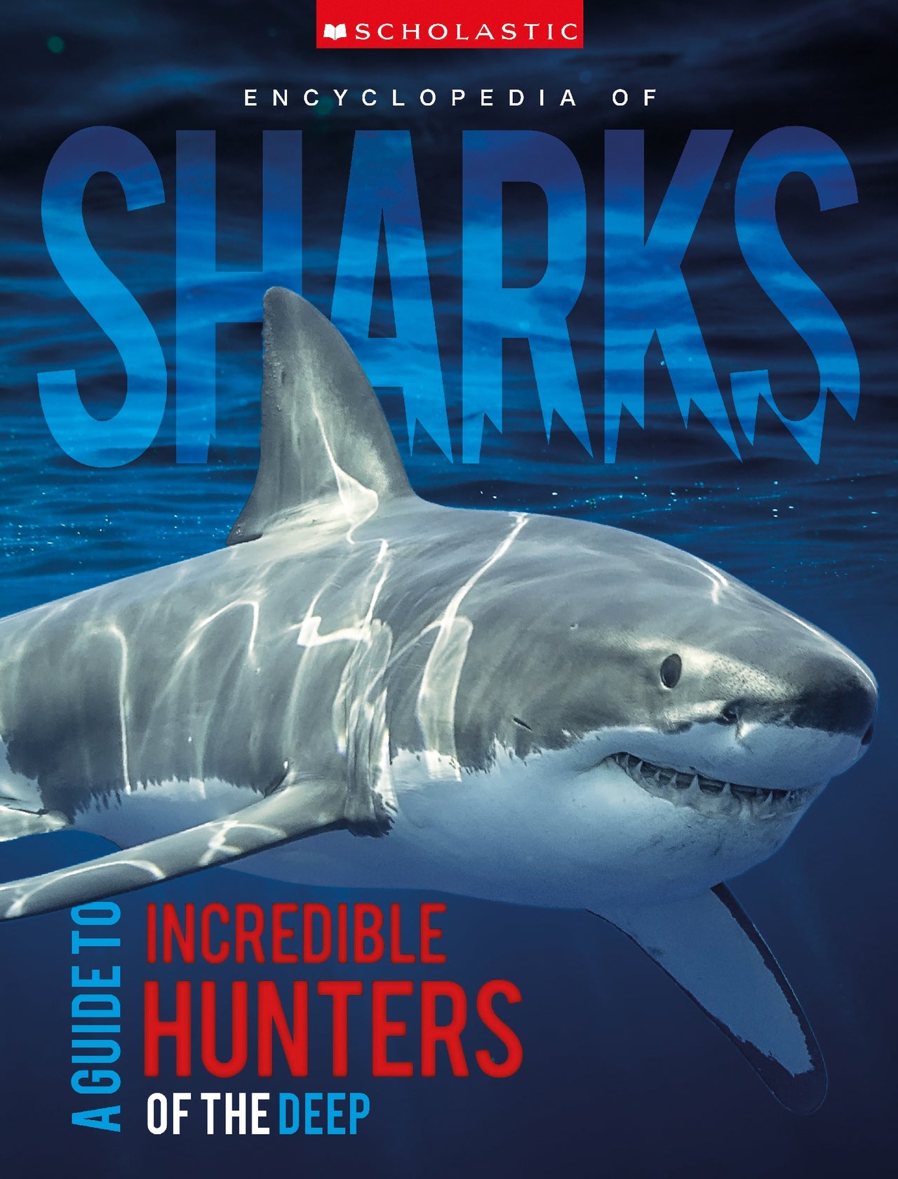 Encyclopedia Of Sharks (miles Kelly)