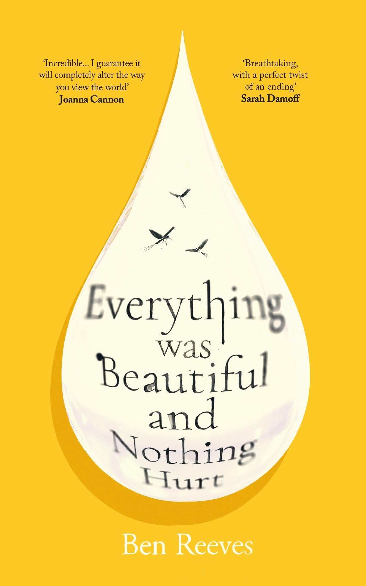 Everything Was Beautiful And Nothing Hurt