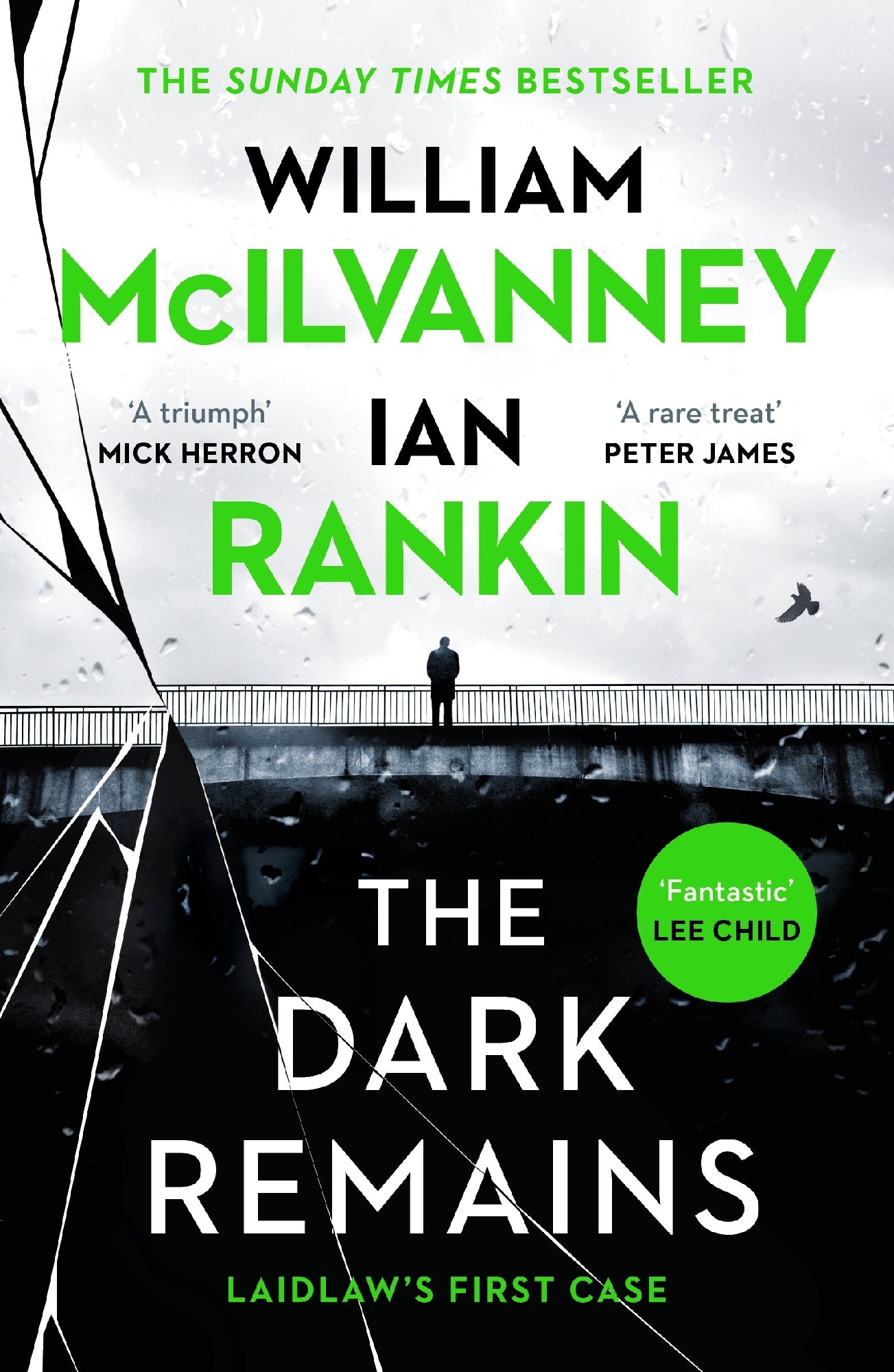 The Dark Remains