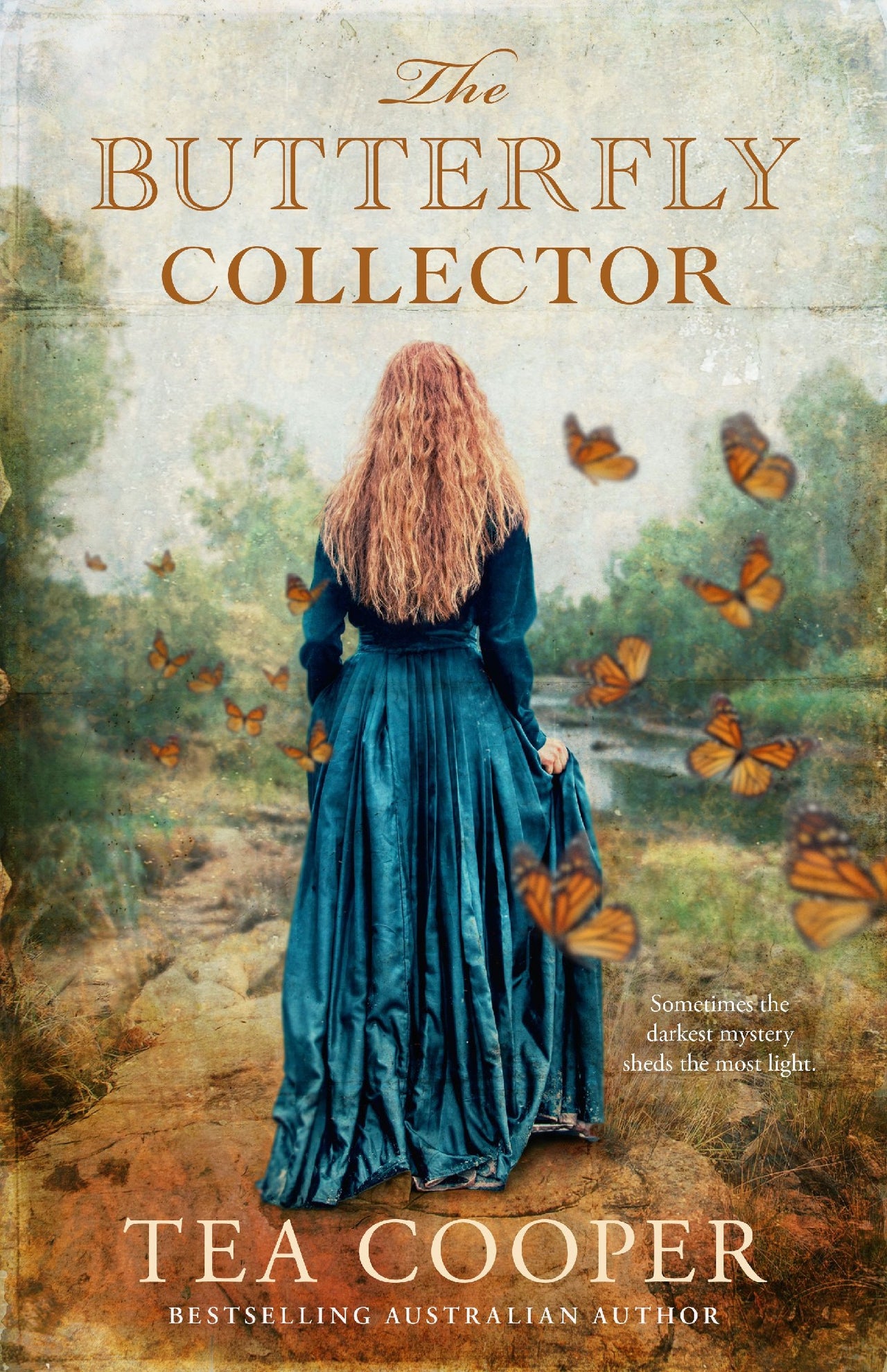 The Butterfly Collector