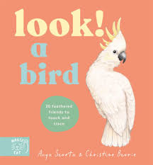 Look! A Bird!