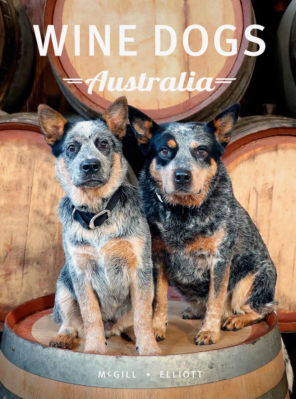 Wine Dogs Australia 6