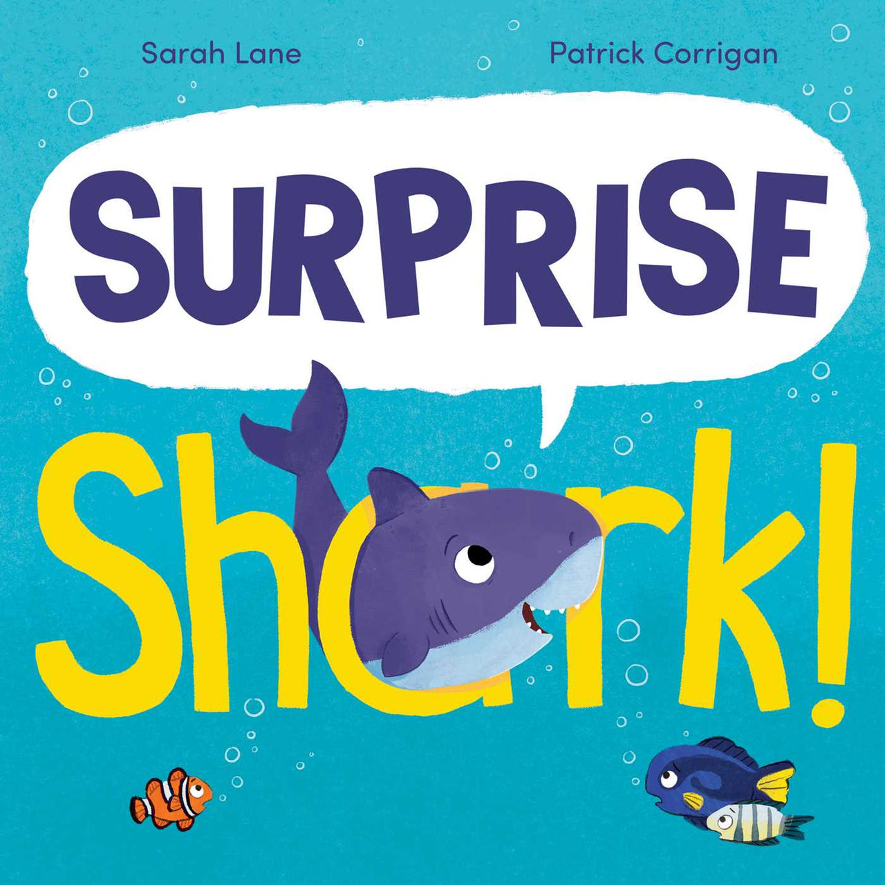 Surprise Shark!