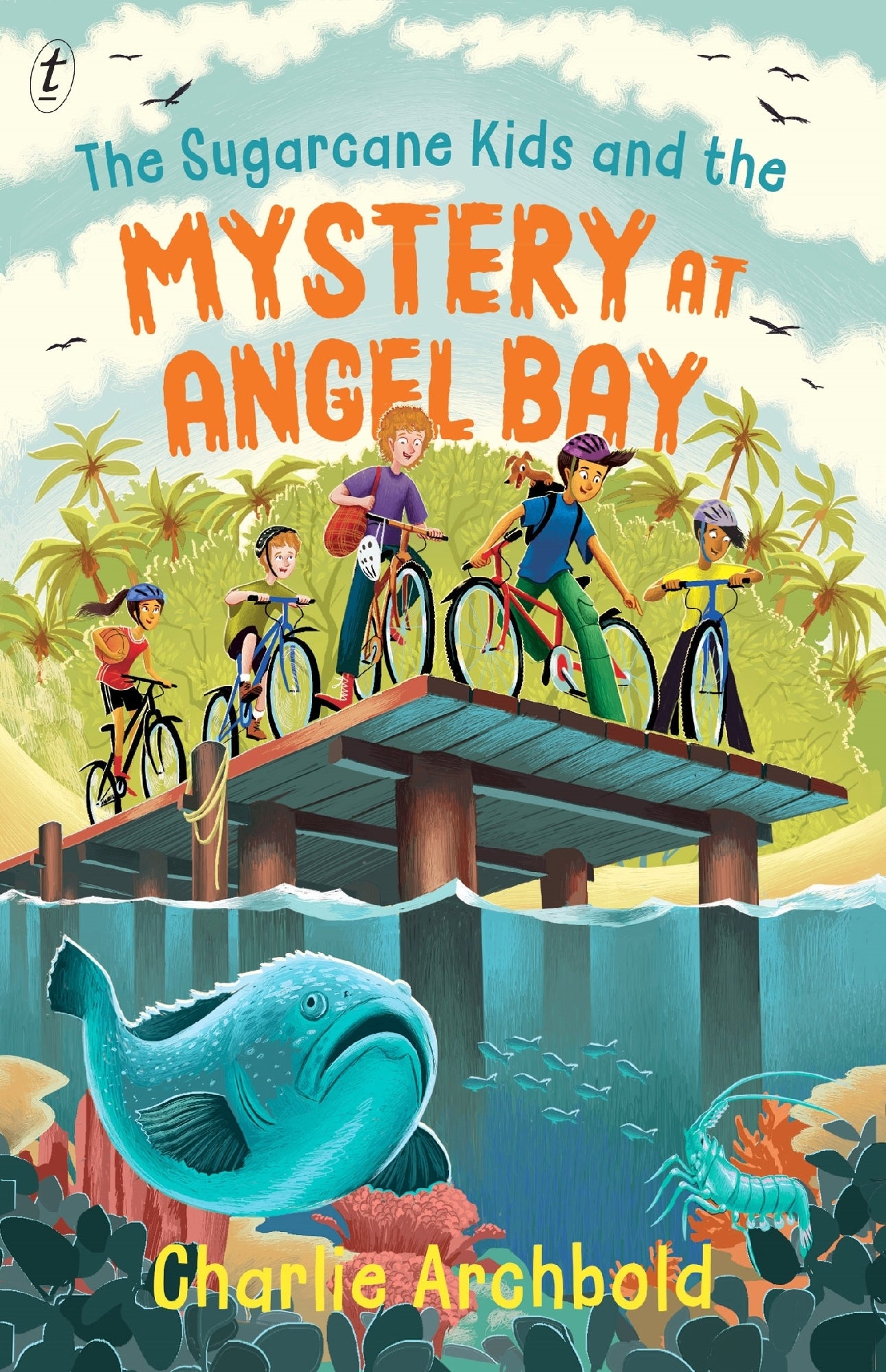 The Sugarcane Kids And The Mystery At Angel Bay