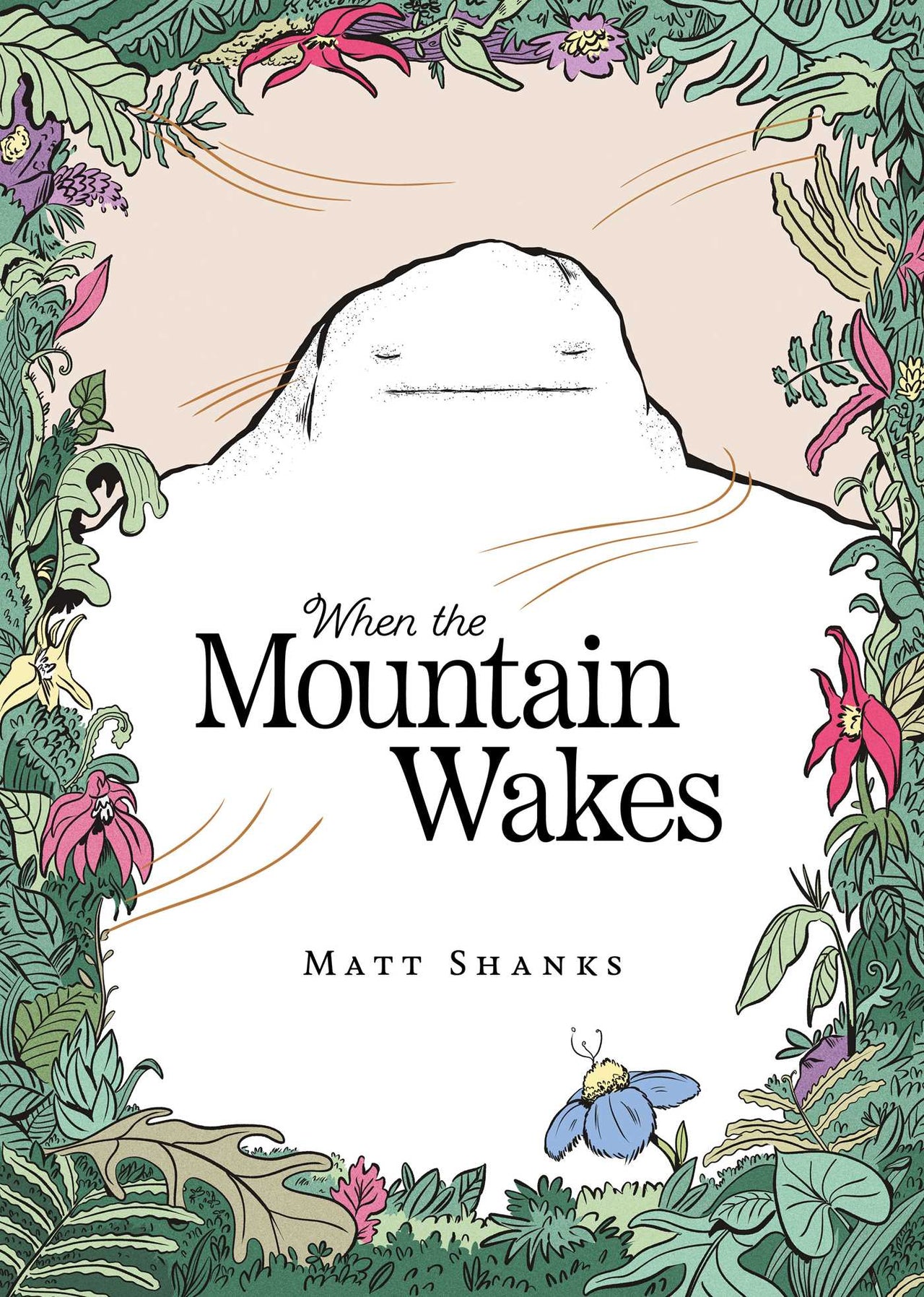 When The Mountain Wakes