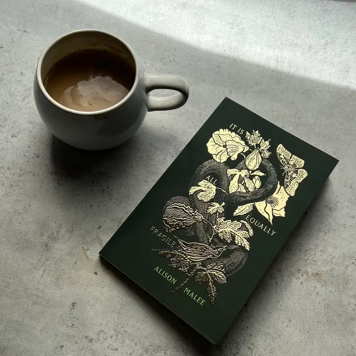 It Is All Equally Fragile - Poetry Book | Default