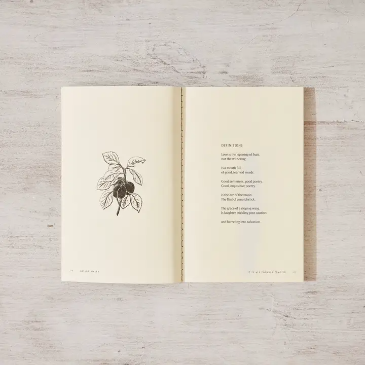 It Is All Equally Fragile - Poetry Book | Default