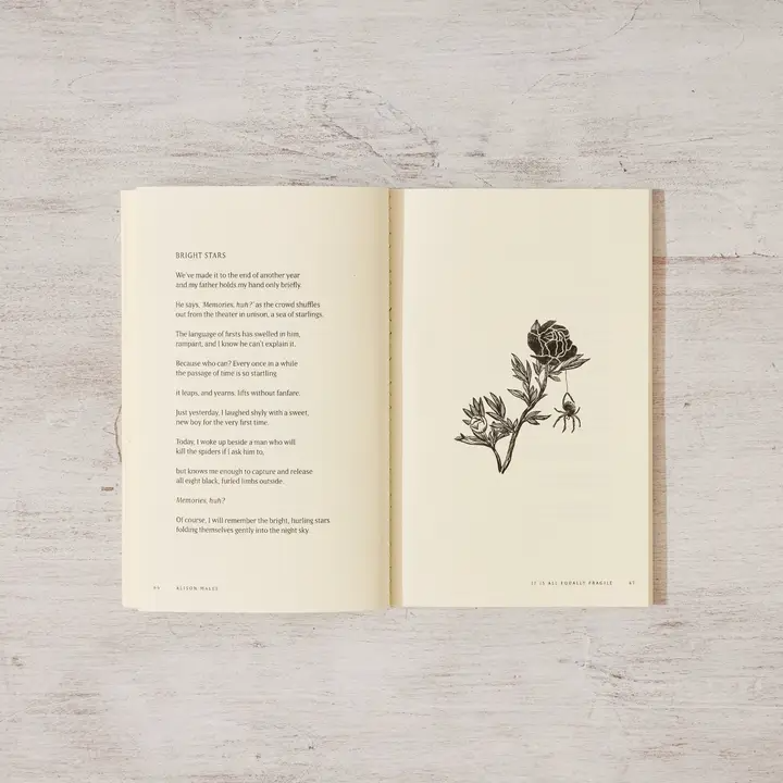 It Is All Equally Fragile - Poetry Book | Default
