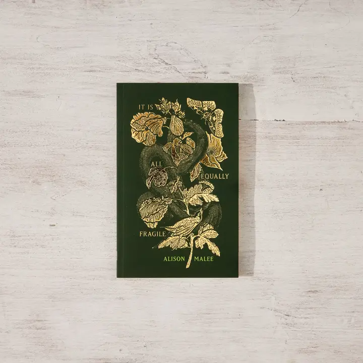 It Is All Equally Fragile - Poetry Book | Default