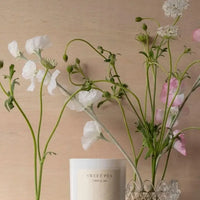 Thumbnail for Sweetpea - I Think Of You - 400g