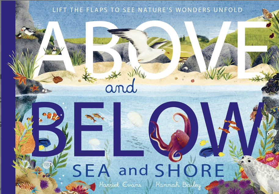 ABOVE AND BELOW: SEA AND SHORE - Harriet Evans