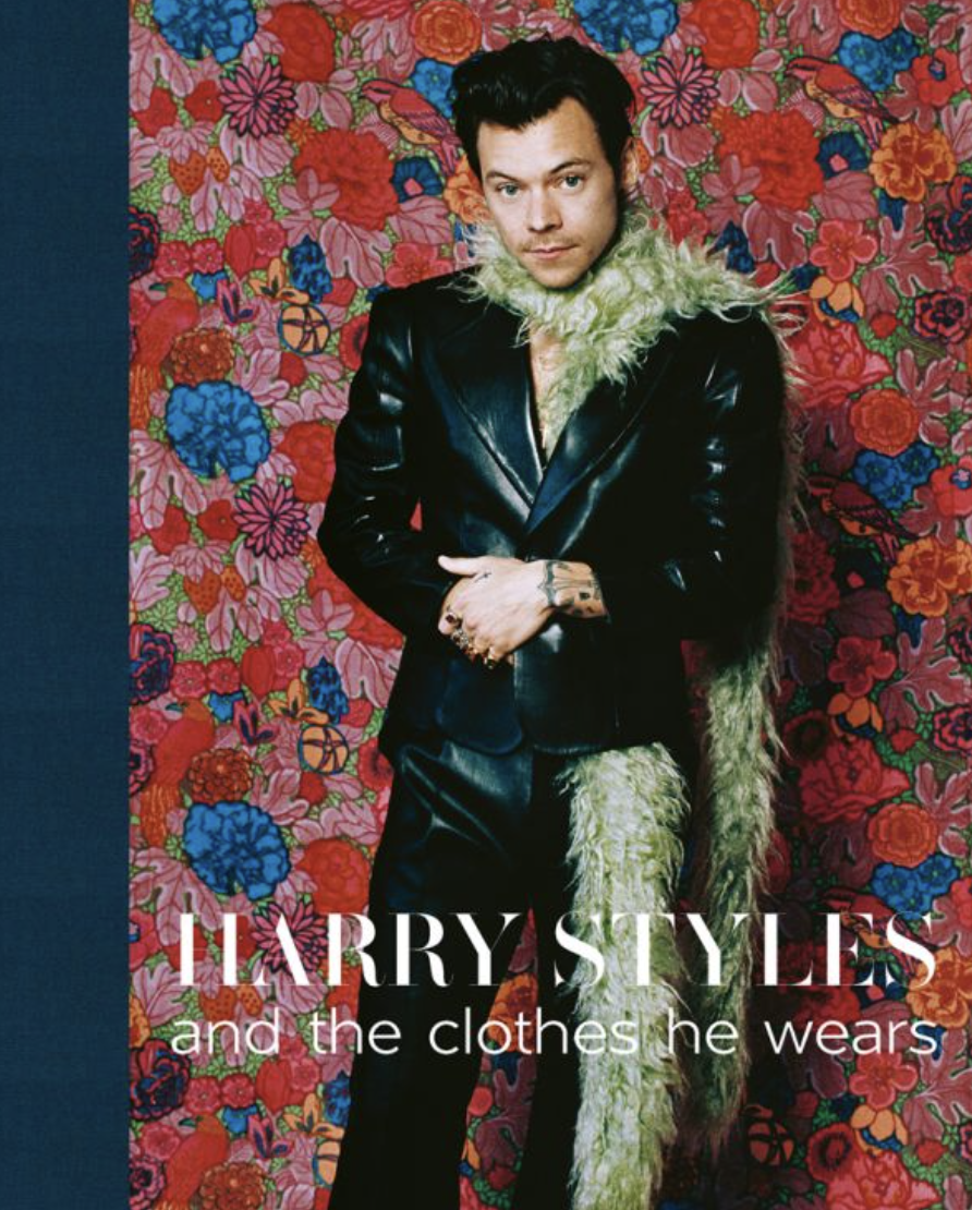 Harry Styles: And the Clothes He Wears - Terry Newman