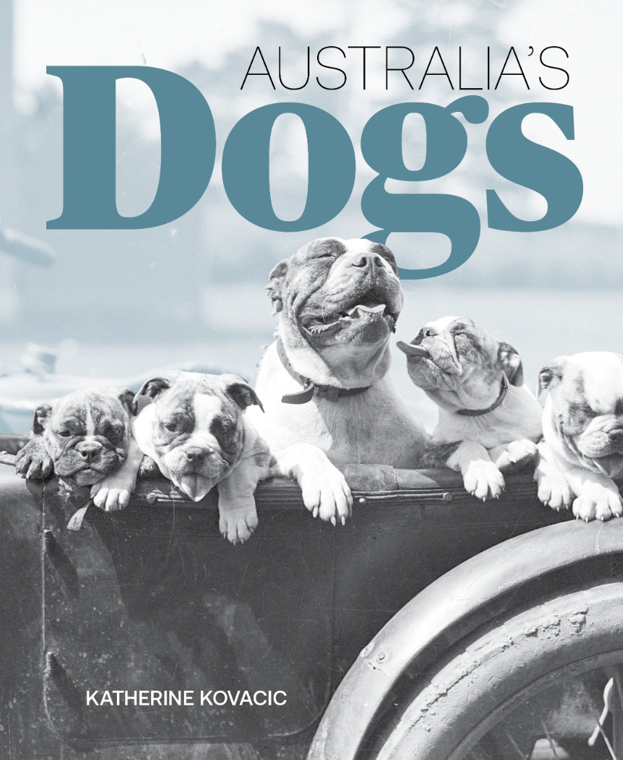 Australia's Dogs - Katherine Kovacic